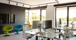 POWRÓT DO KORZENI. BIOPHILIC DESIGN W MIEJSCACH PRACY