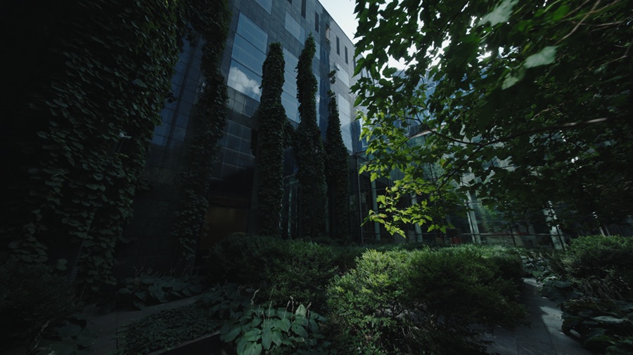 V-TOWER-BIUROWIEC-KTORY-WPROWADZA-ZIELEN-NA-WYZSZY-POZIOM