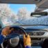 Zima za kierownicą
